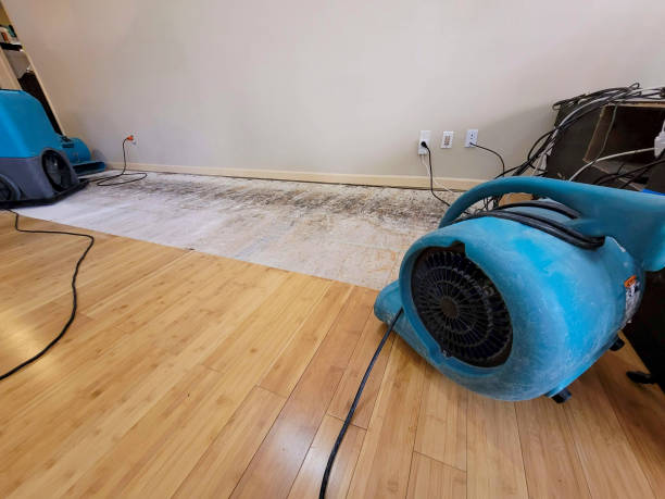 Professional Structural Drying technician working in Kimberly, WV
